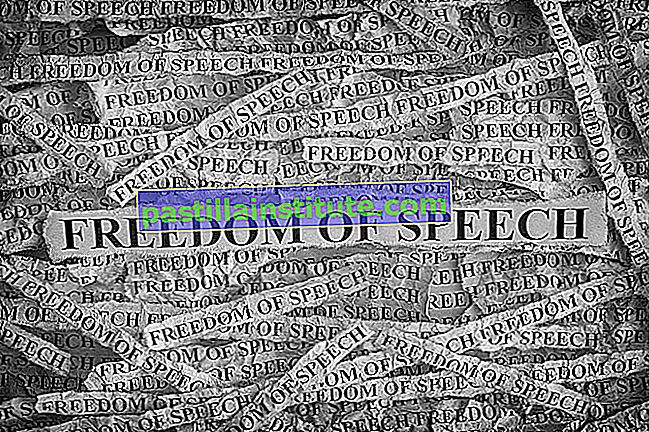 Libertà di parola