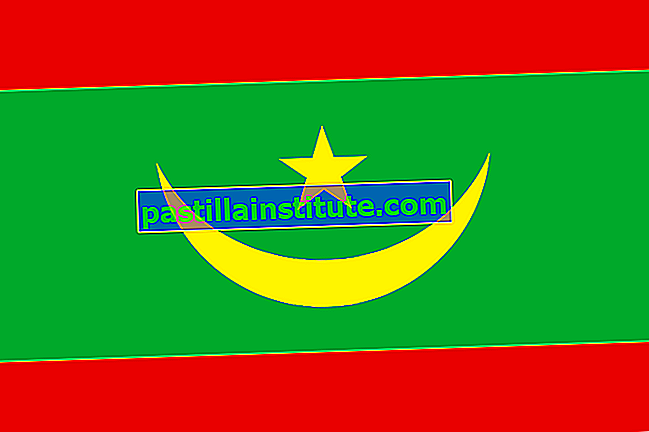 Mauretanias flagga
