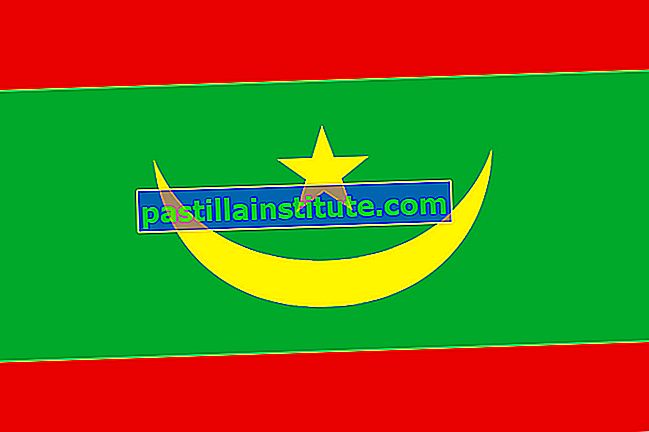 Bandera de mauritania