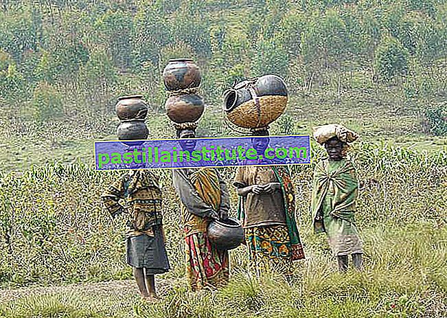 Twa: femmes portant de la poterie