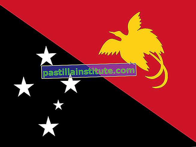 Bendera Papua New Guinea