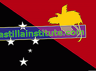 Bandera de papua nueva guinea
