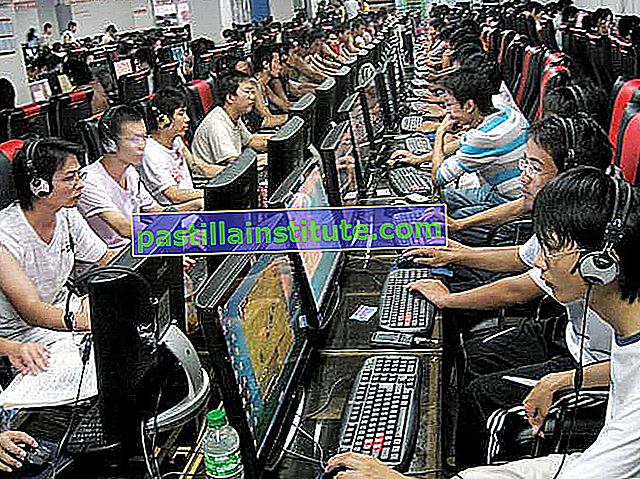 Jugando videojuegos y viendo películas en un cibercafé en Wuhu, provincia de Anhui, China.