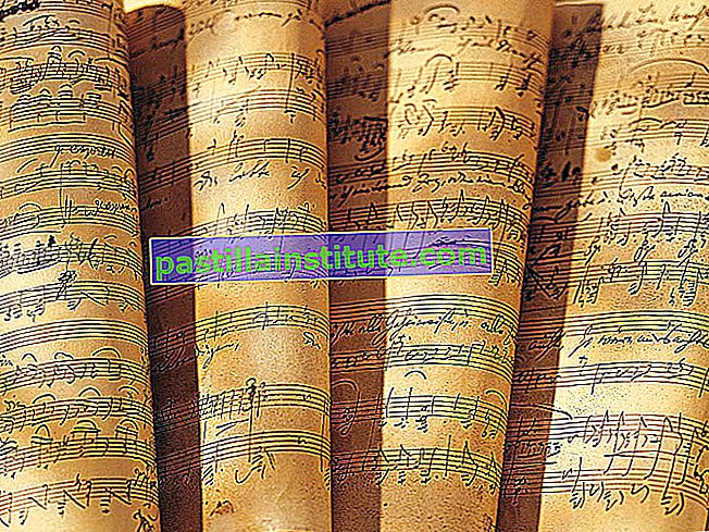 Pilas de partituras.  Composición de compositor de música clásica.  Blog de Hompepage 2009, arte y entretenimiento, historia y sociedad