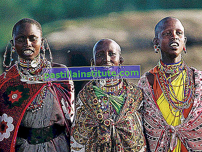 Кения.  Кенийски жени в традиционни дрехи.  Кения, Източна Африка
