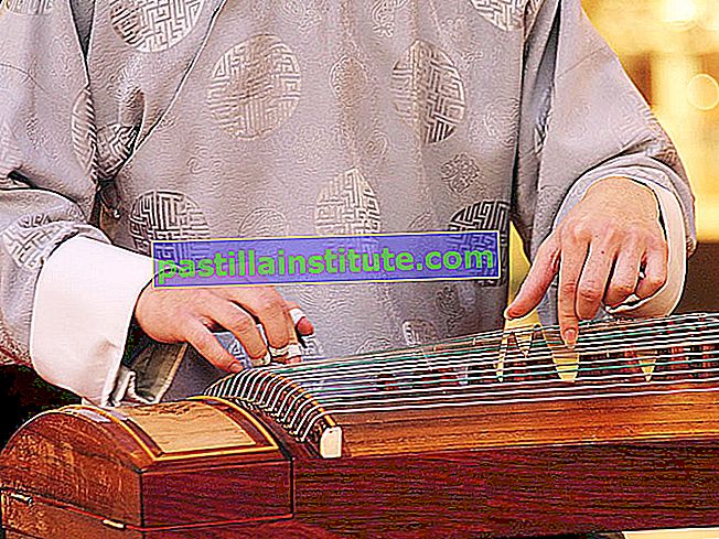 Koto.  Gros plan du musicien jouant un koto en bois (instruments de musique, instrument à cordes, japonais, cithare pincée)