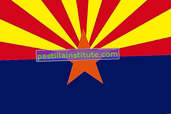 Le drapeau distinctif de l'Arizona a été adopté en 1917. L'étoile centrale en cuivre symbolise l'importance des minéraux dans l'économie de l'État.  La moitié inférieure du drapeau est un champ bleu, et la moitié supérieure se compose de 13 rayons rouges et jaunes alternés, suggérant