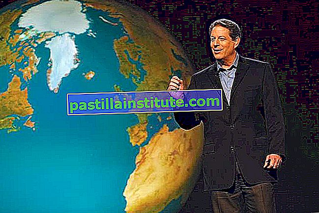 Al Gore dans An Inconvenient Truth (2006).