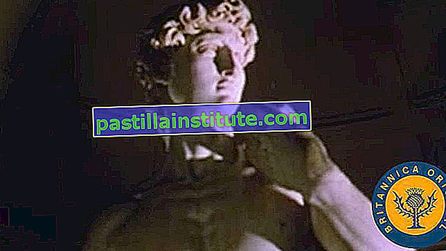 Разкрийте историята зад мраморната статуя на Давид, убиеца на Голиат на Микеланджело