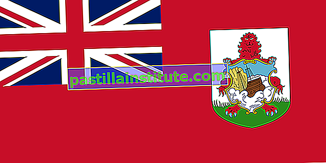 Bandera de bermudas