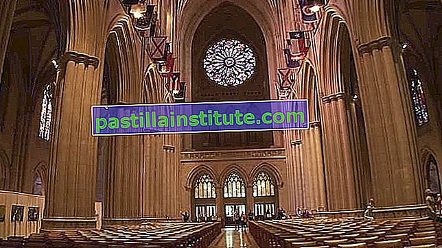 Architettura gotica della cattedrale nazionale di Washington