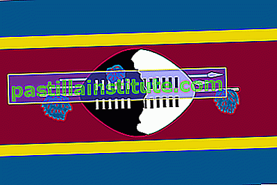 Знаме на Свазиленд
