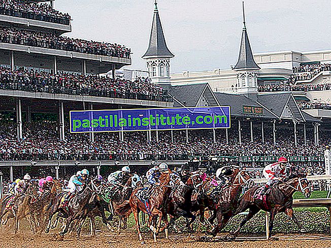 Sân đua ngựa tại nhà câu lạc bộ trong lần chạy thứ 133 của trận đua Kentucky Derby tại Churchill Downs ở Louisville Kentucky ngày 5 tháng 5 năm 2007. Đua ngựa thuần chủng