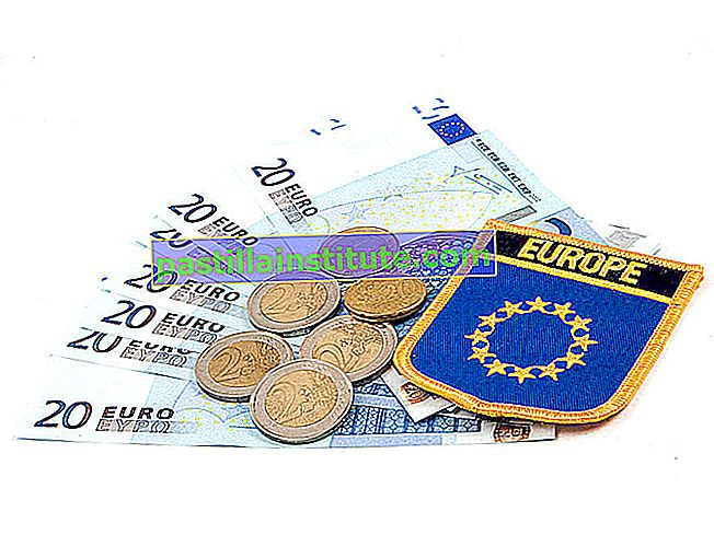 Dolar Euro.  Unit wang dan mata wang Kesatuan Eropah.  (Wang Eropah; unit wang)