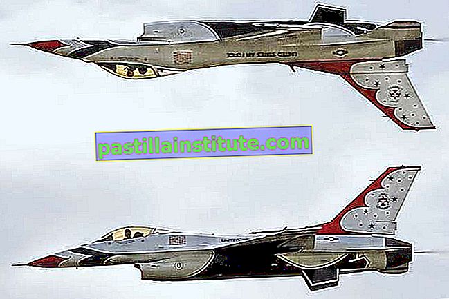 Два F-16 Fighting Falcons на пилотажната ескадра Thunderbirds на ВВС на САЩ, изпълняваща 